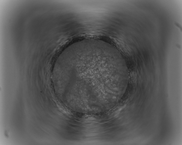 X0000096450913200801311447
