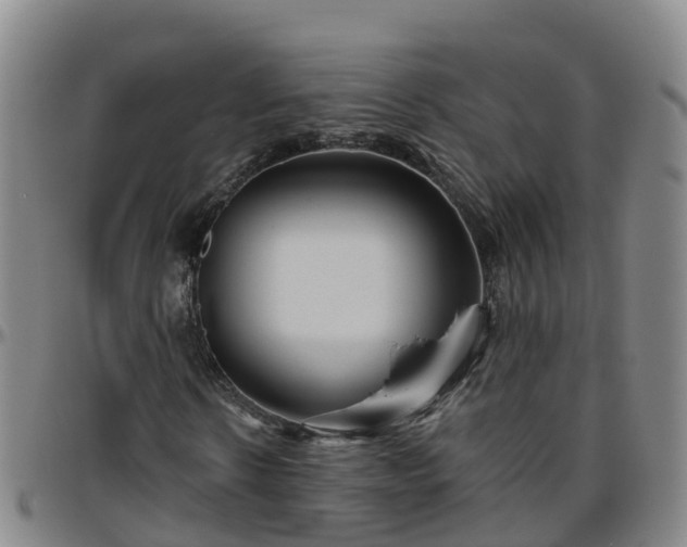 X0000096450914200801311447