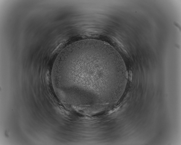 X0000096450915200801311447