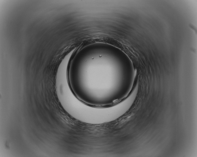 X0000096450916200801311447