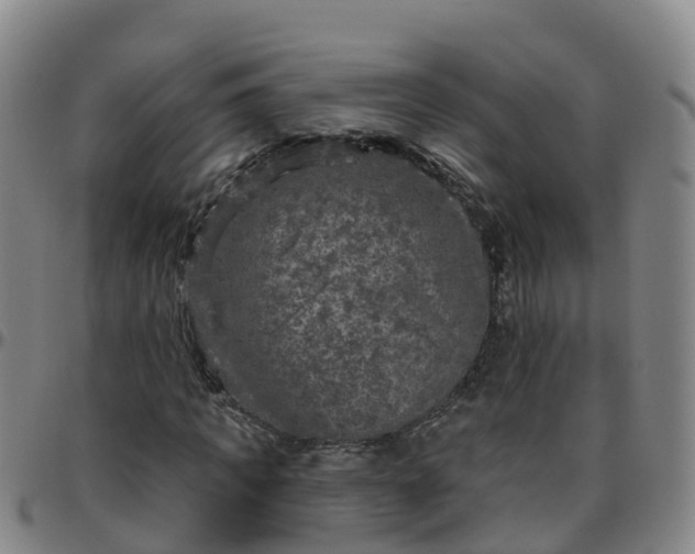 X0000096450917200801311447