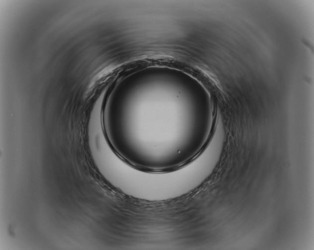 X0000096450920200801311447