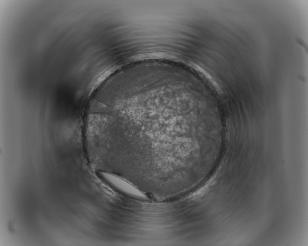 X0000096450921200801311447