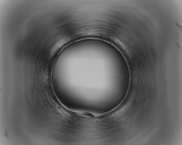 X0000096450922200801311447