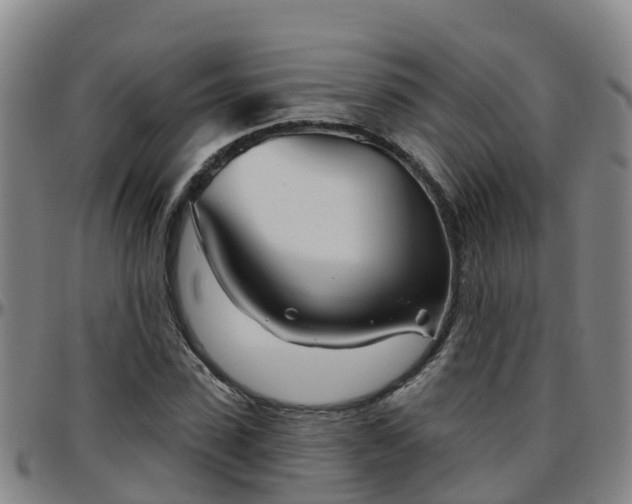 X0000096450923200801311447
