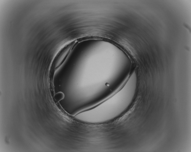 X0000096450924200801311447
