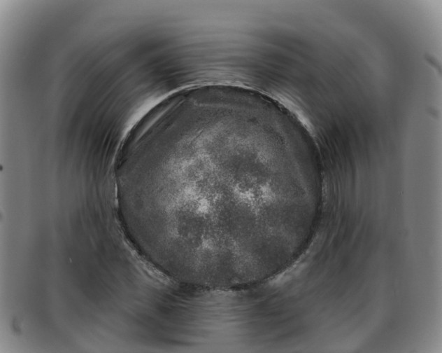 X0000096450925200801311447