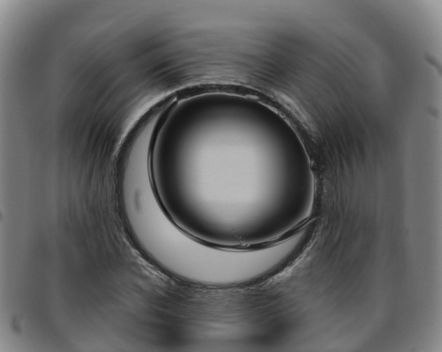 X0000096450926200801311447