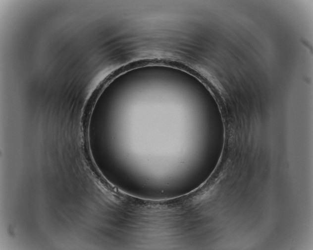 X0000096450927200801311447