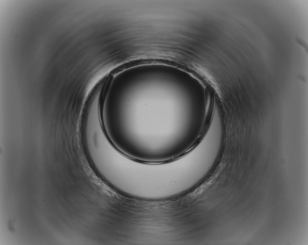 X0000096450928200801311447