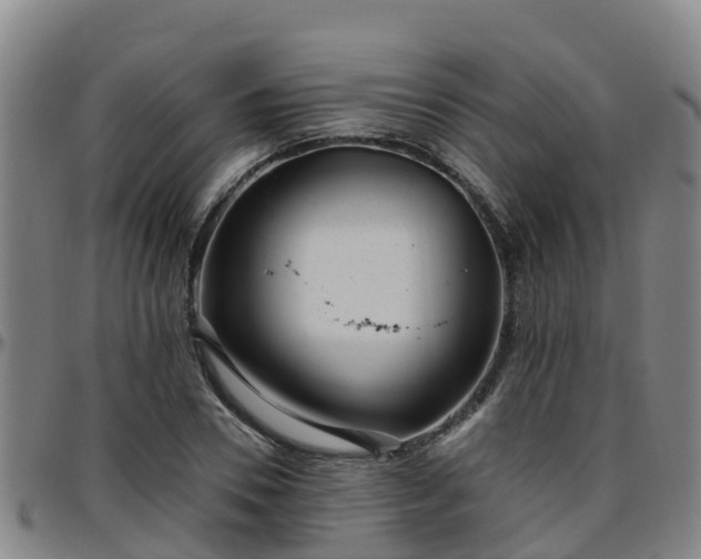 X0000096450930200801311447