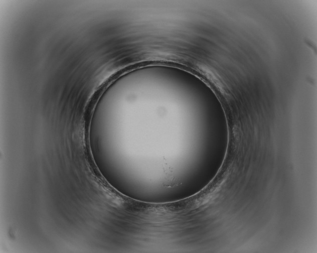 X0000096450931200801311447