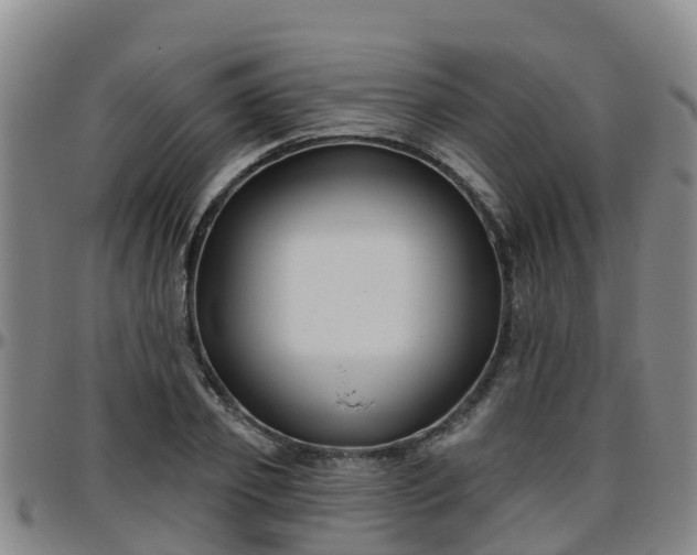 X0000096450933200801311447
