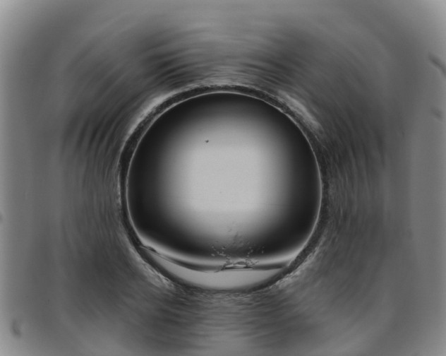 X0000096450934200801311447