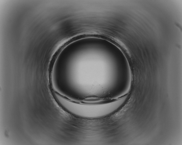 X0000096450935200801311447