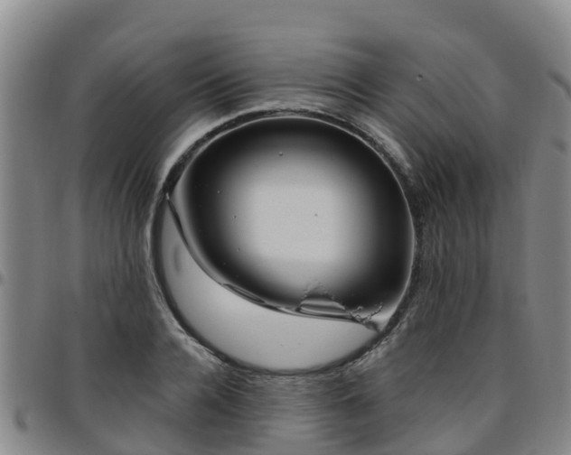 X0000096450936200801311447