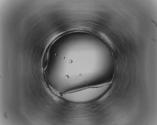 X0000096450940200801311447