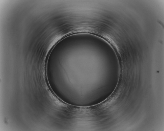 X0000096450941200801311447