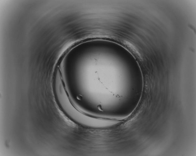 X0000096450942200801311447