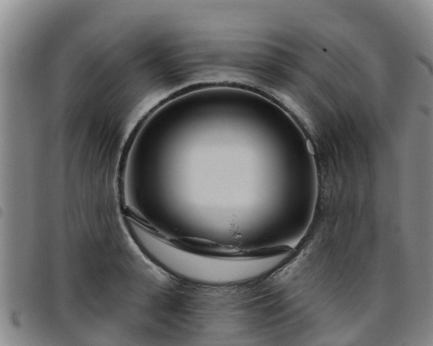 X0000096450943200801311447
