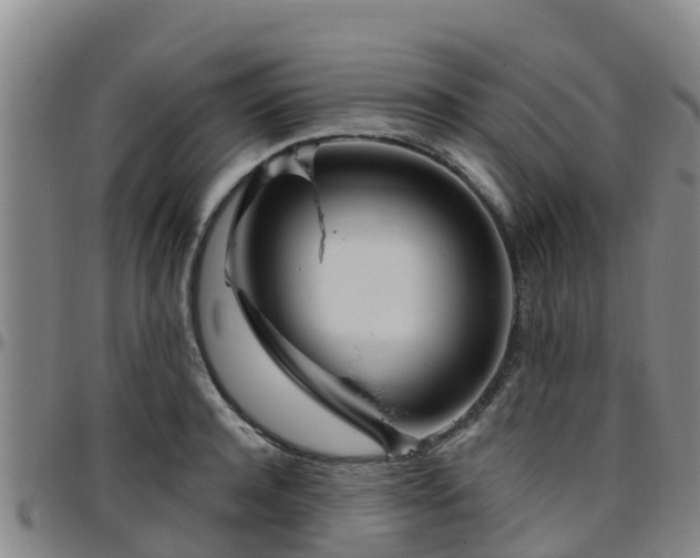 X0000096450944200801311447