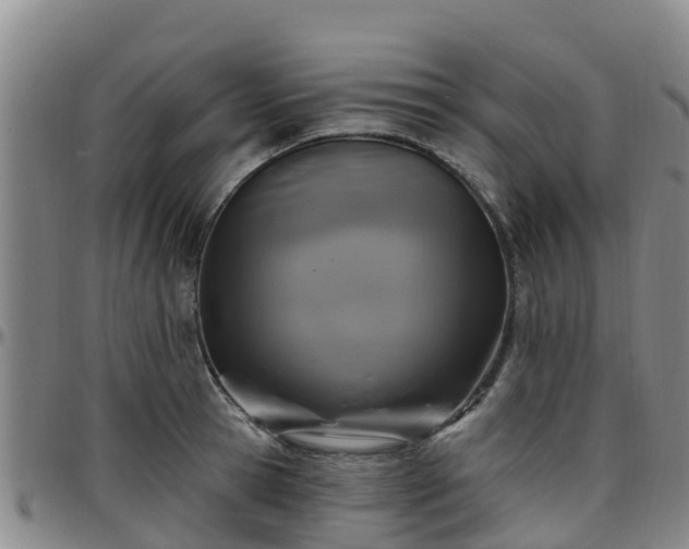X0000096450945200801311447