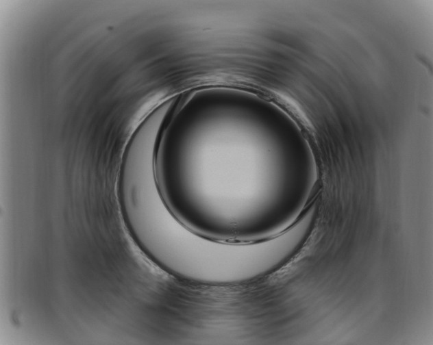 X0000096450946200801311447