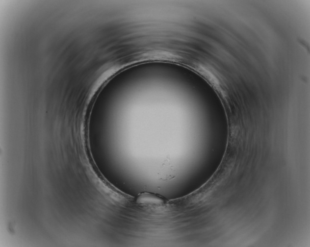 X0000096450947200801311448
