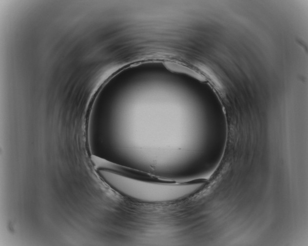 X0000096450948200801311448