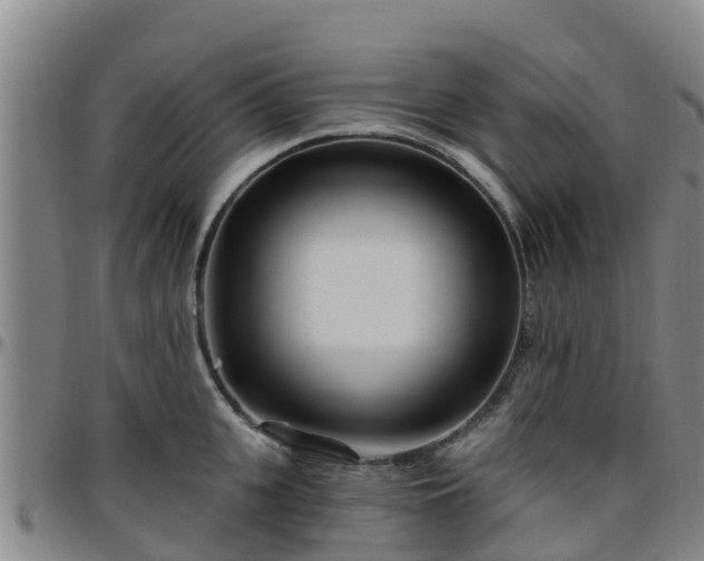 X0000096450951200801311448