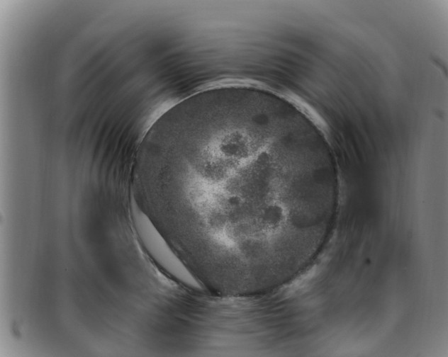 X0000096450953200801311448