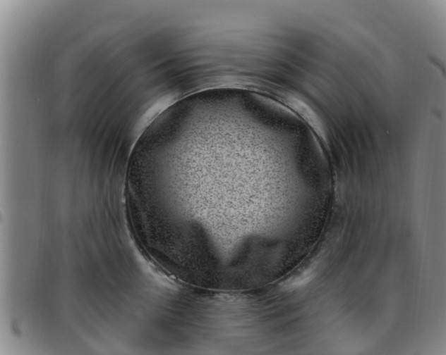 X0000096450954200801311448