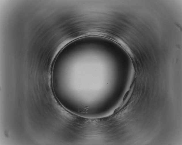 X0000096450955200801311448