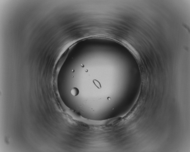 X0000096450956200801311448
