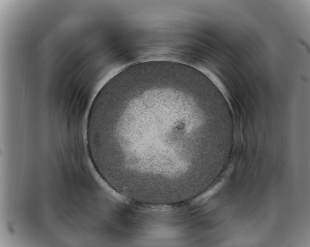 X0000096450957200801311448