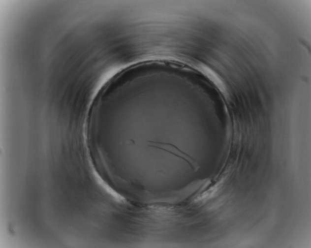 X0000096450958200801311448