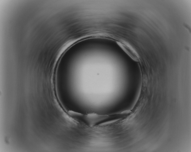 X0000096450959200801311448
