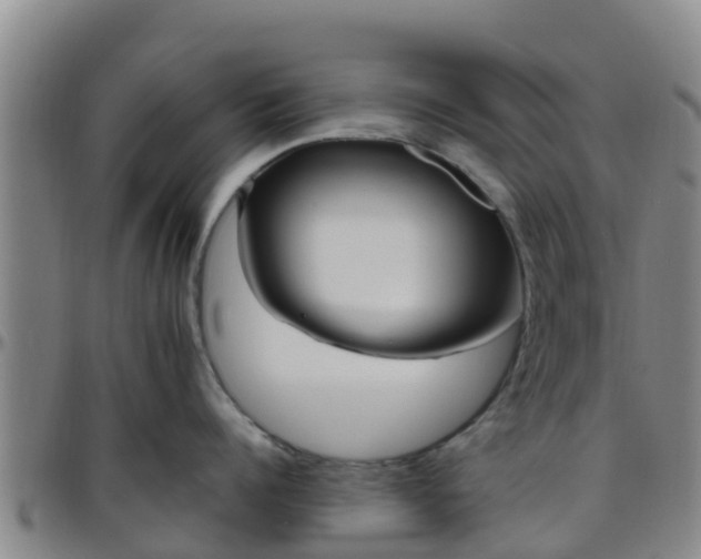 X0000096450960200801311448
