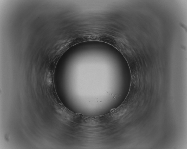 X0000096450962200801311447