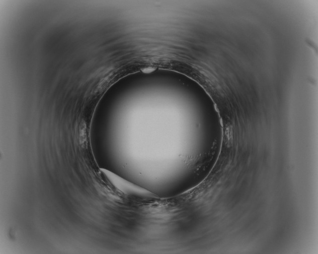 X0000096450963200801311447