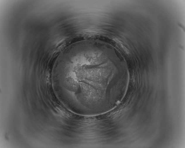 X0000096450964200801311447