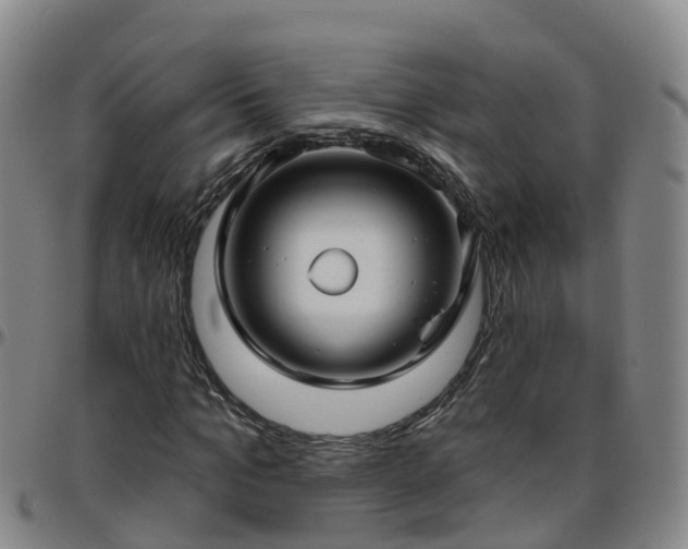 X0000096450965200801311447