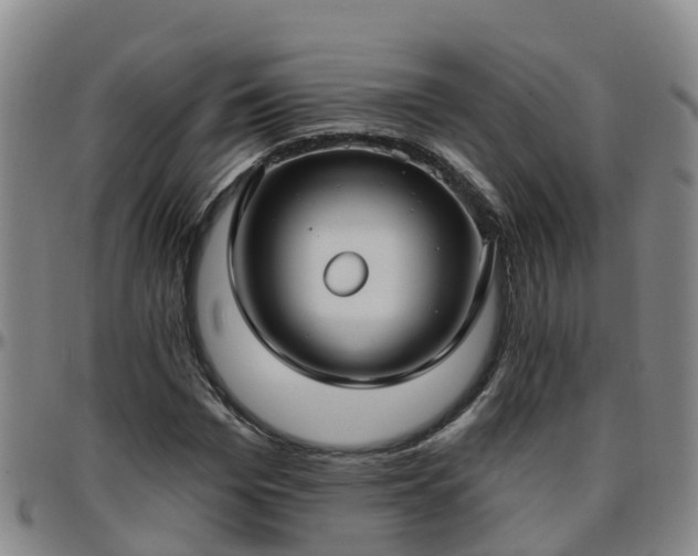 X0000096450969200801311447