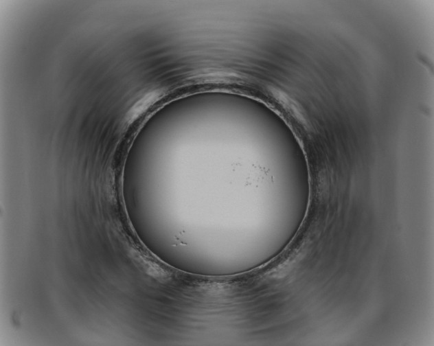 X0000096450970200801311447