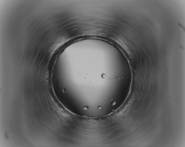 X0000096450971200801311447