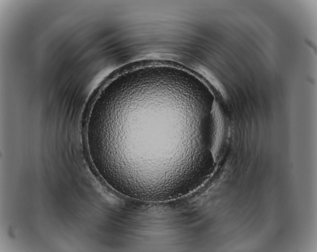 X0000096450972200801311447