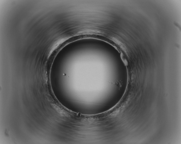 X0000096450973200801311447