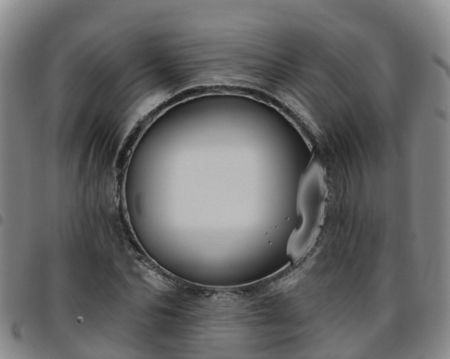 X0000096450974200801311447