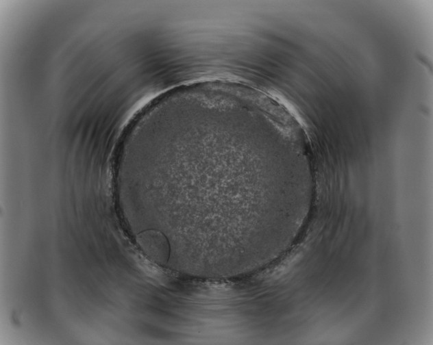 X0000096450975200801311447