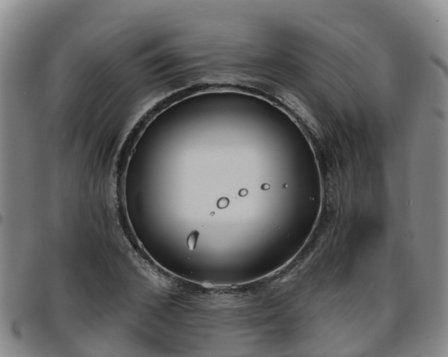 X0000096450976200801311447